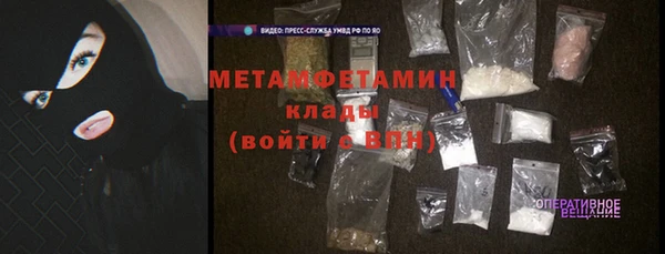 индика Медвежьегорск