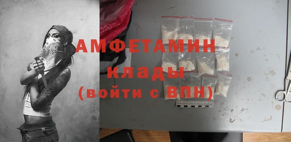 индика Медвежьегорск
