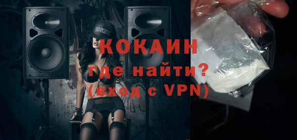 индика Медвежьегорск