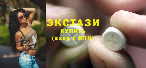 индика Медвежьегорск