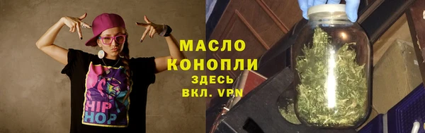 индика Медвежьегорск
