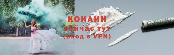 индика Медвежьегорск