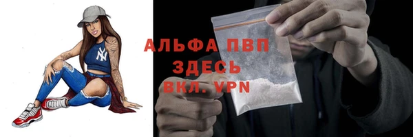 индика Медвежьегорск