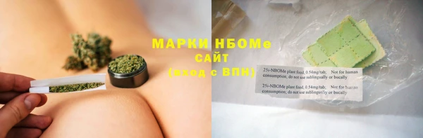 индика Медвежьегорск