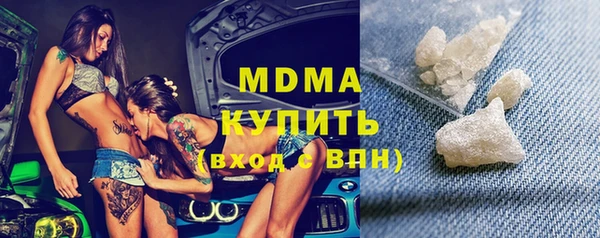 индика Медвежьегорск