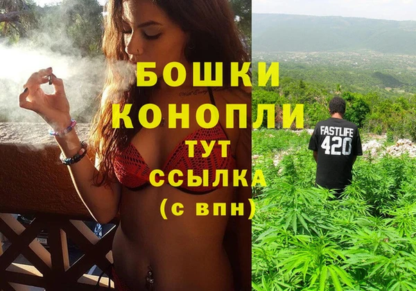 индика Медвежьегорск