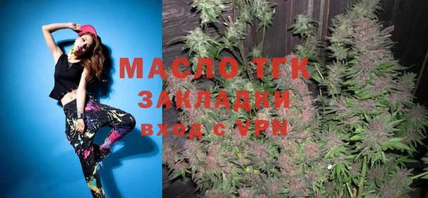 индика Медвежьегорск