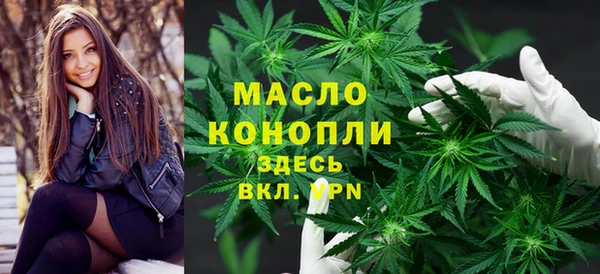 индика Медвежьегорск