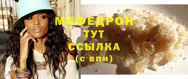 индика Медвежьегорск