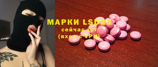 индика Медвежьегорск