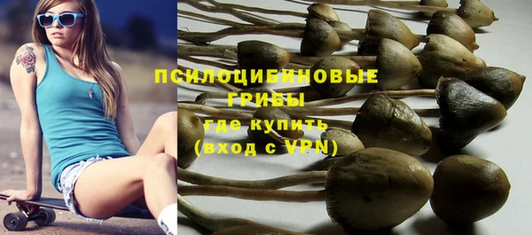 apvp Лиски