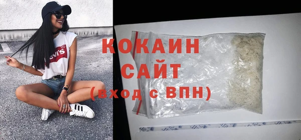 индика Медвежьегорск