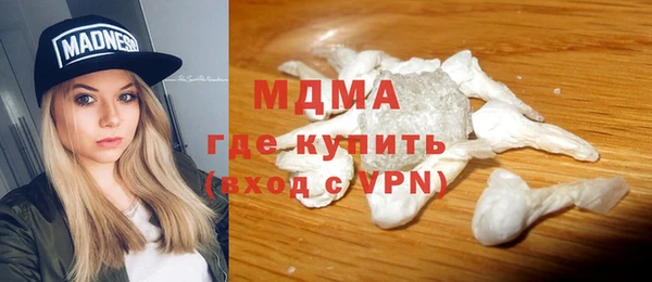 индика Медвежьегорск