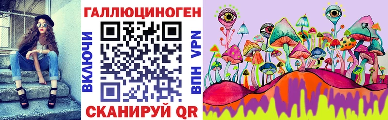 сколько стоит Сясьстрой Псилоцибиновые грибы GOLDEN TEACHER